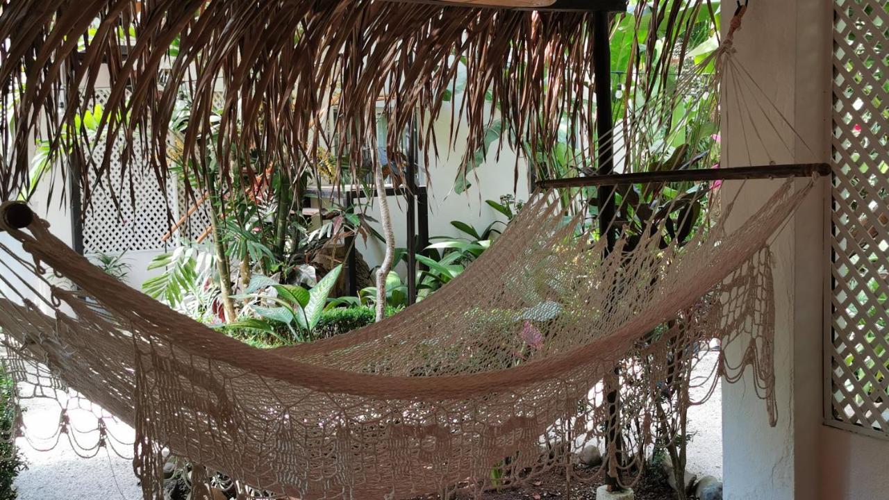 Appartement Colibri Surf House&Flats à Playa Santa Teresa  Extérieur photo