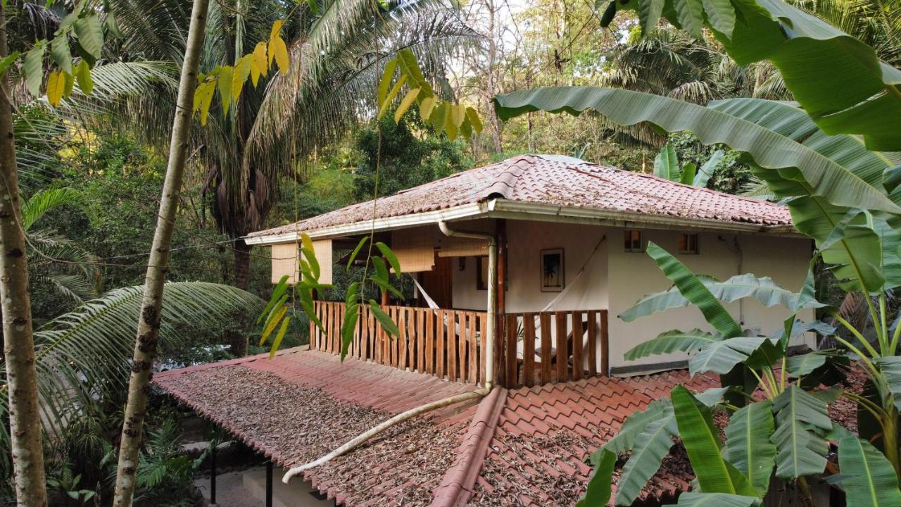Appartement Colibri Surf House&Flats à Playa Santa Teresa  Extérieur photo