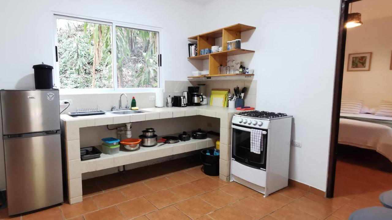 Appartement Colibri Surf House&Flats à Playa Santa Teresa  Extérieur photo