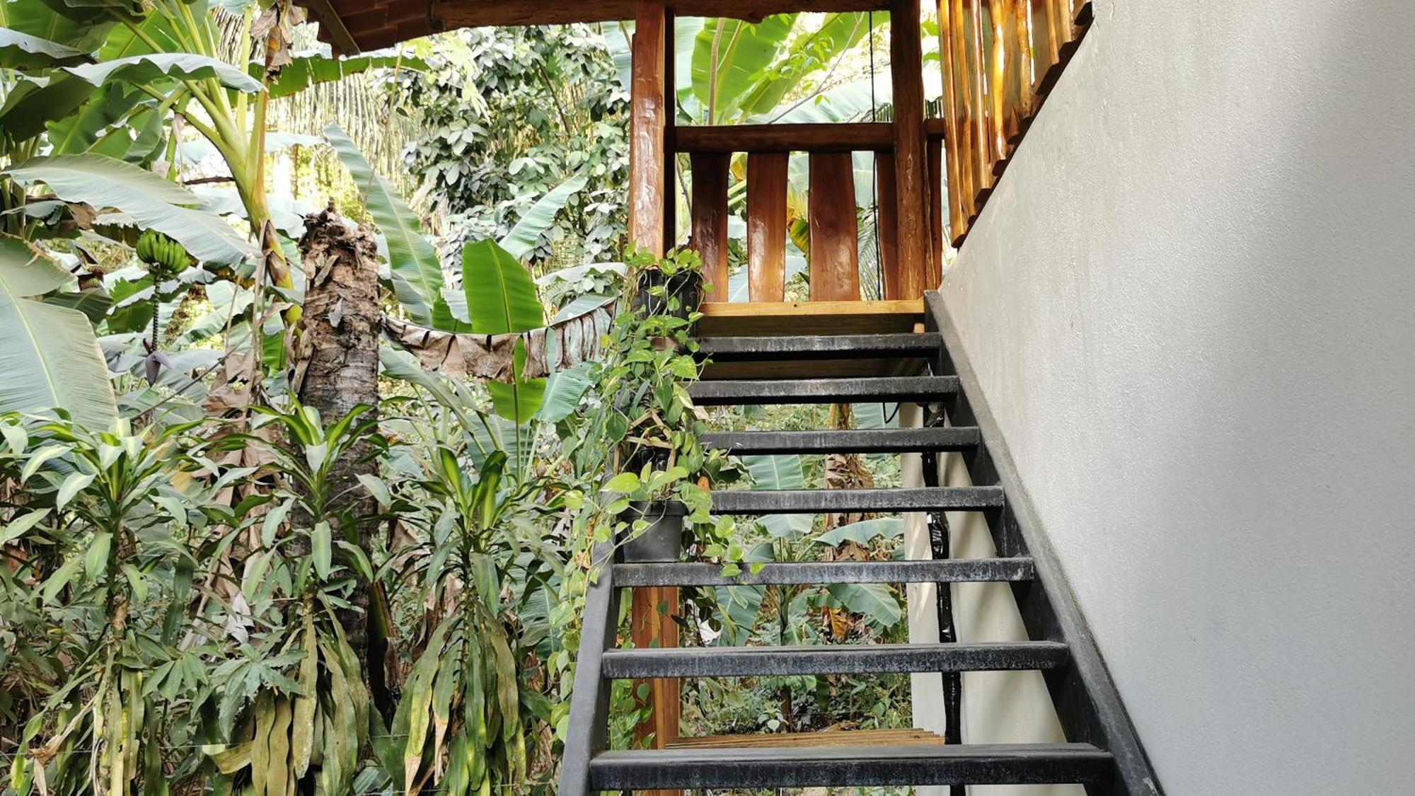 Appartement Colibri Surf House&Flats à Playa Santa Teresa  Chambre photo