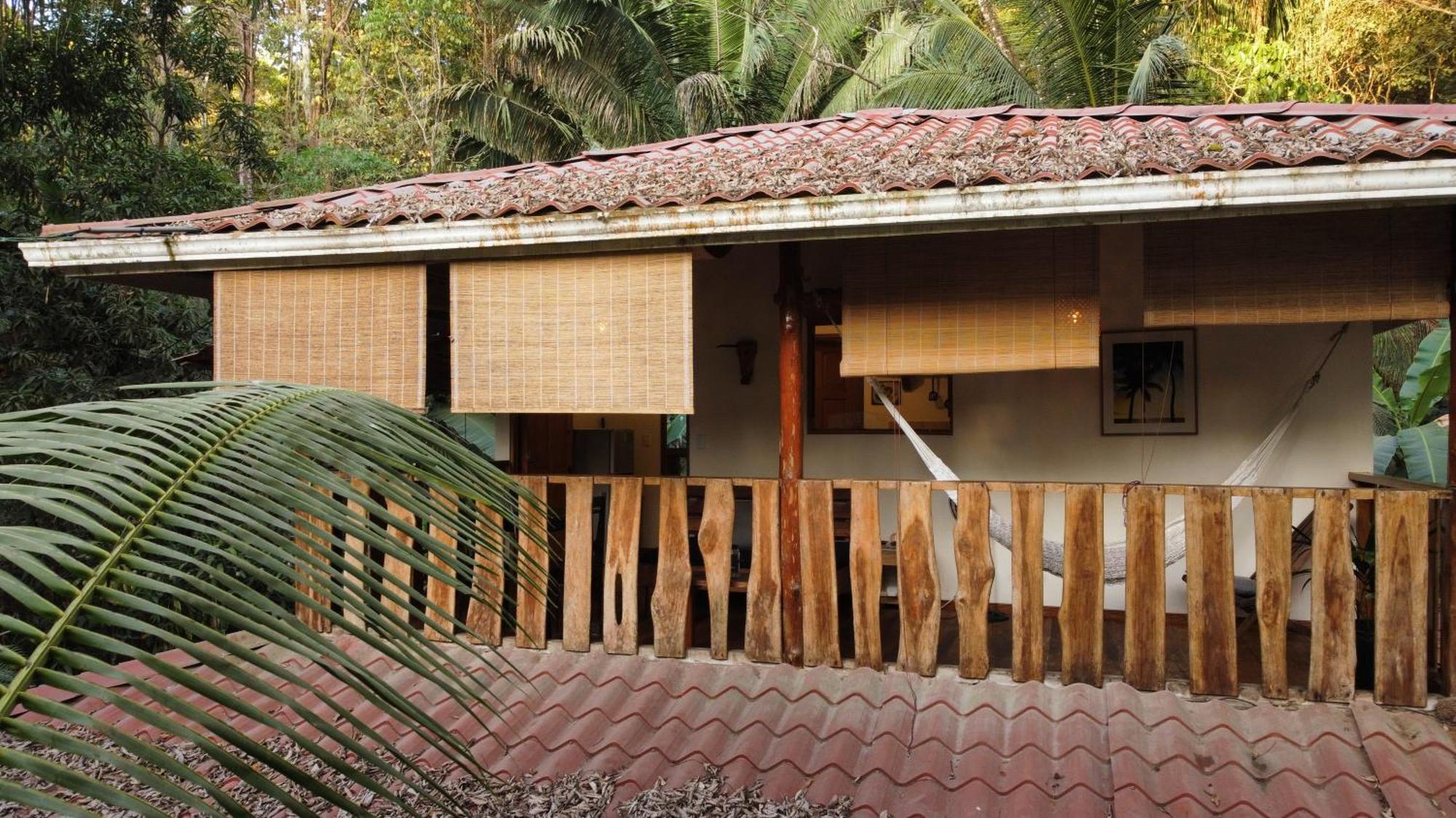 Appartement Colibri Surf House&Flats à Playa Santa Teresa  Chambre photo